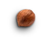 shape