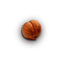 shape